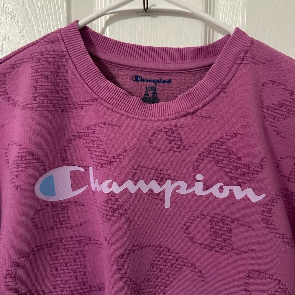 2 PIECE SET Champion Kids  Pink Sweatpants And Sweater